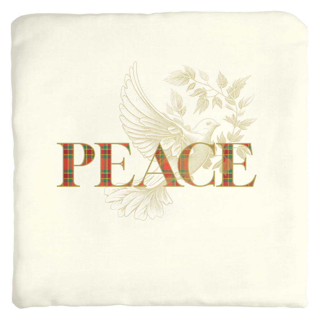 ThrowPillow-SpunPolyester-20x20-CoverOnly-20241016111557352